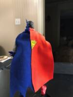 Composite Superman (DC Universe) Custom Action Figure