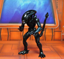 Alien Vs Predator set (Alien vs Predator) Custom Action Figure