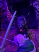Dissplacer Beast 1/12th scale (Dungeons and Dragons) Custom Action Figure