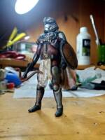 Medieval Stormtrooper (Star Wars) Custom Action Figure