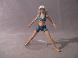 Dolphin (DC Infinite Heroes) Custom Action Figure