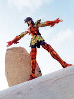 Sea Horse Baian EX damaged version (Saint Seiya) Custom Action Figure