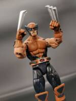 Wolverine (X-Men Evolution Season 1) (Marvel Legends) Custom Action Figure