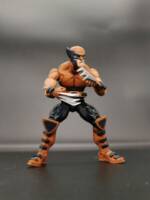 Wolverine (X-Men Evolution Season 1) (Marvel Legends) Custom Action Figure