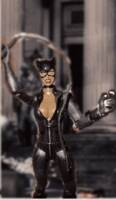 catwoman (Batman - Arkham City) Custom Action Figure