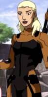 Artemis Crock “Tigress” (Young Justice) Custom Action Figure