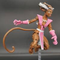 Feral V5 (Marvel Legends) Custom Action Figure