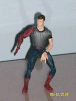 Peter Parker / Spider-Man (Spider-Man - Movie) Custom Action Figure