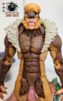 Sabretooth (X-Men) Custom Action Figure