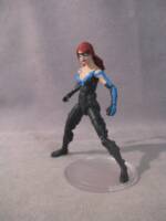 Nightwing - Cheyenne Freemont (DC Multiverse) Custom Action Figure