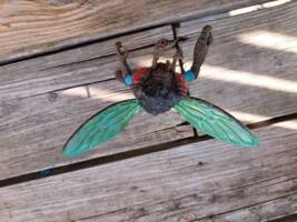 Mastermind Baxter-Fly repainted (Teenage Mutant Ninja Turtles) Custom Action Figure