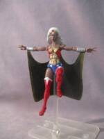 Wonder Woman (Amazon) (Amalgam) Custom Action Figure