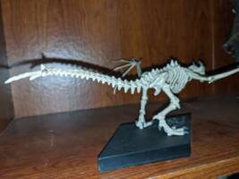 Skyrim dragon skeleton (Skyrim) Custom Miniature / Figurine [Back detail]