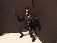 Symbiote Wolveirine (Spider-Man) Custom Action Figure