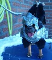Dariuel The Dreaded with Periclid The Combative Caninenite (Original) Custom Action Figure