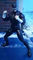 Wildcat (not an accurate depiction) (DC Universe) Custom Action Figure