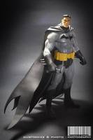 Batman (Batman) Custom Action Figure