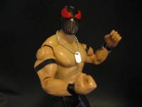 Bane (Wrestling) Custom Action Figure