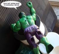The Hulk (Incredible Hulk) Custom Action Figure
