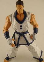 Kim Kaphwan (Capcom vs. SNK) Custom Action Figure