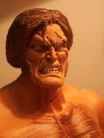 DOG Logan V2 (Marvel Legends) Custom Action Figure