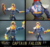 Captain Falcon (Nintendo) Custom Action Figure
