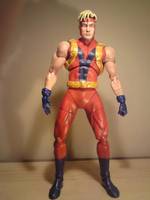 Goliath (Marvel Legends) Custom Action Figure
