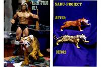 Kazar & Sabu! (Marvel) Custom Action Figure