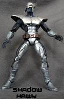 Arez Shadow Hawk (Image) Custom Action Figure