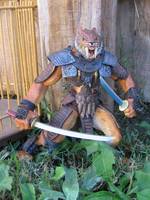 Samurai Sabyr (Realm of the Claw) Custom Action Figure