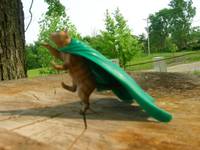 Super Pusseekat (Marvel Legends) Custom Miniature / Figurine