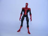 Spider-Man (Spider-Man) Custom Action Figure