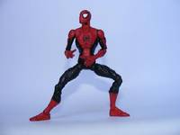 Spider-Man (Spider-Man) Custom Action Figure