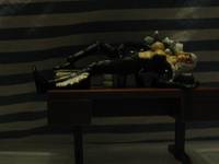 Black Cat (Marvel Legends) Custom Action Figure