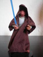 Cilghal (Star Wars) Custom Action Figure