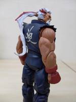 Shen Long (Street Fighter) Custom Action Figure