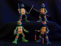 Tmnt (Teenage Mutant Ninja Turtles) Custom Action Figure