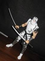 Storm Shadow (Marvel Legends) Custom Action Figure