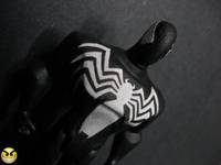 Black Spider-Man (JLU Style) (Spider-Man) Custom Action Figure
