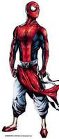 Spider-Man India (Spider-Man) Custom Action Figure