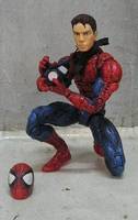 Peter Parker/Spider-Man (Spider-Man) Custom Action Figure