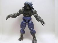 Aoa BEAST (Marvel Legends) Custom Action Figure