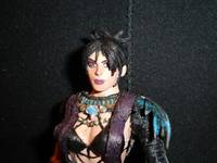 Morrigan  (Witch of the Wilds ) Version 2 (Fantasy) Custom Action Figure