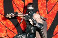 Ninja Master ! (Ninja Gaiden) Custom Action Figure