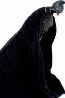 Batman Begins (Batman Begins) Custom Action Figure