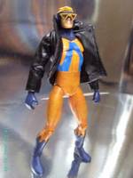 Animal Man (DC Direct) Custom Action Figure