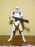 Clone Trooper (Star Wars) Custom Action Figure