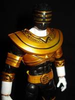 Power Rangers Zeo: Gold Ranger (Power Rangers) Custom Action Figure