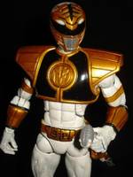 Mighty Morphin Power Rangers: White Ranger (Power Rangers) Custom Action Figure