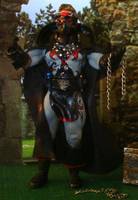 Darkfire (Figure Realm) Custom Action Figure